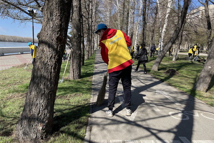Возле Комендантки высадили 60 молодых сосен